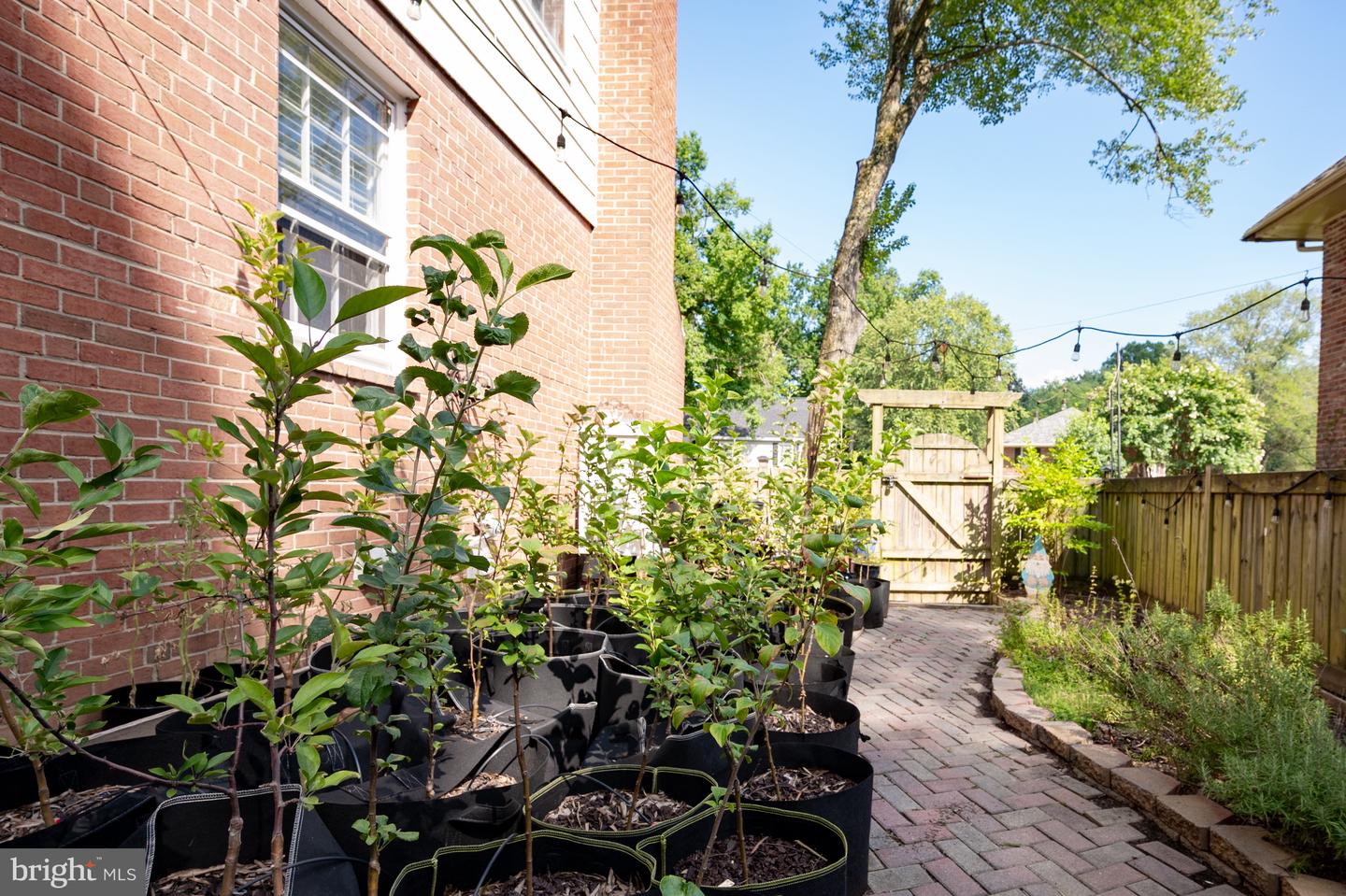 1102 ALDEN RD, ALEXANDRIA, Virginia 22308, 4 Bedrooms Bedrooms, ,3 BathroomsBathrooms,Residential,For sale,1102 ALDEN RD,VAFX2256608 MLS # VAFX2256608