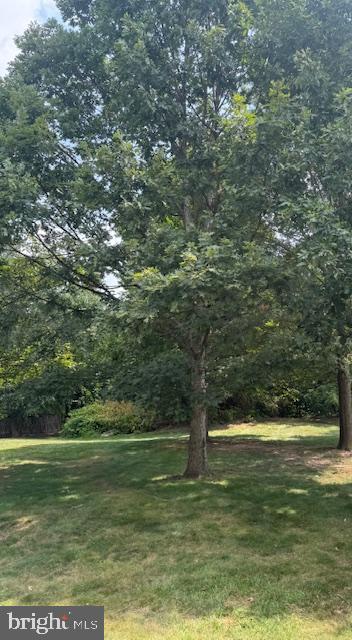 1617 PURPLE SAGE DR, RESTON, Virginia 20194, 2 Bedrooms Bedrooms, ,1 BathroomBathrooms,Residential,For sale,1617 PURPLE SAGE DR,VAFX2256618 MLS # VAFX2256618