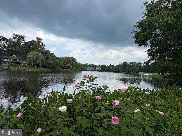 1617 PURPLE SAGE DR, RESTON, Virginia 20194, 2 Bedrooms Bedrooms, ,1 BathroomBathrooms,Residential,For sale,1617 PURPLE SAGE DR,VAFX2256618 MLS # VAFX2256618