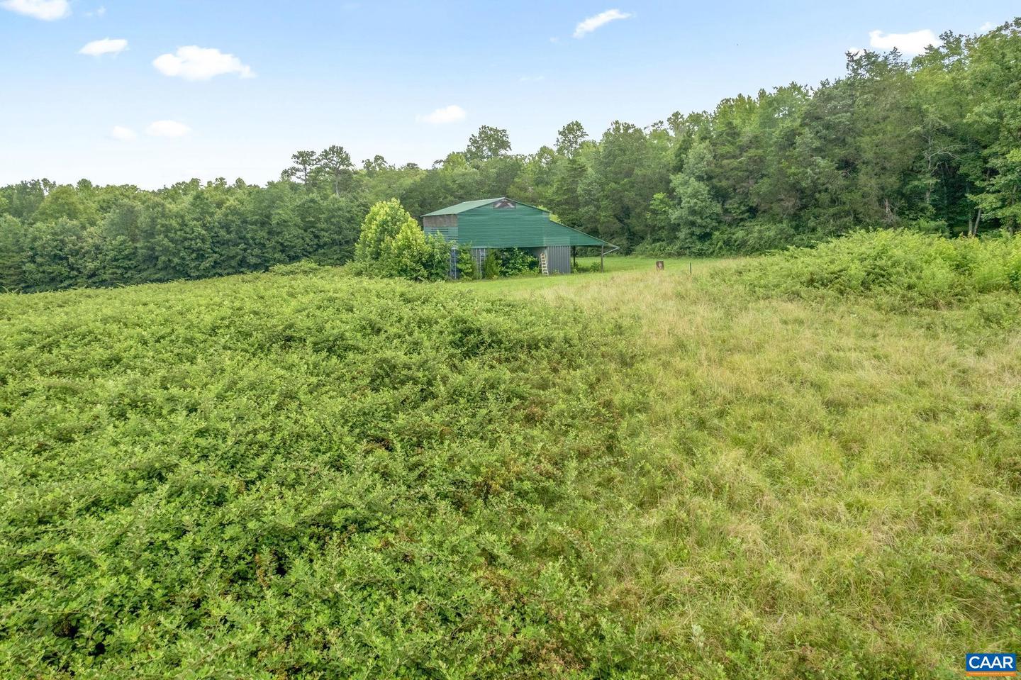 5039 JAMES MADISON HWY, FORK UNION, Virginia 23055, 3 Bedrooms Bedrooms, ,2 BathroomsBathrooms,Residential,For sale,5039 JAMES MADISON HWY,667065 MLS # 667065