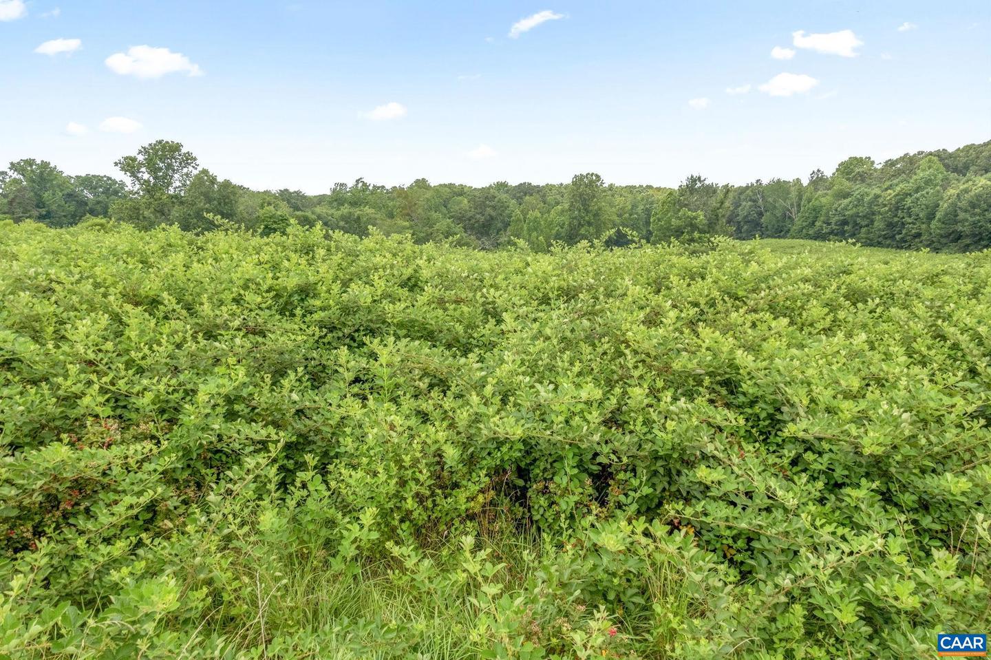 5039 JAMES MADISON HWY, FORK UNION, Virginia 23055, 3 Bedrooms Bedrooms, ,2 BathroomsBathrooms,Residential,For sale,5039 JAMES MADISON HWY,667065 MLS # 667065