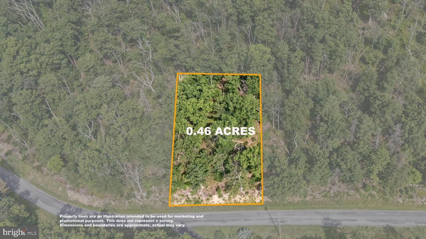 LOT 43 TOMAHAWK TRL, WINCHESTER, Virginia 22602, ,Land,For sale,LOT 43 TOMAHAWK TRL,VAFV2035732 MLS # VAFV2035732