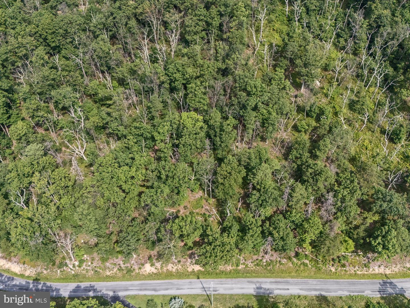 LOT 43 TOMAHAWK TRL, WINCHESTER, Virginia 22602, ,Land,For sale,LOT 43 TOMAHAWK TRL,VAFV2035732 MLS # VAFV2035732