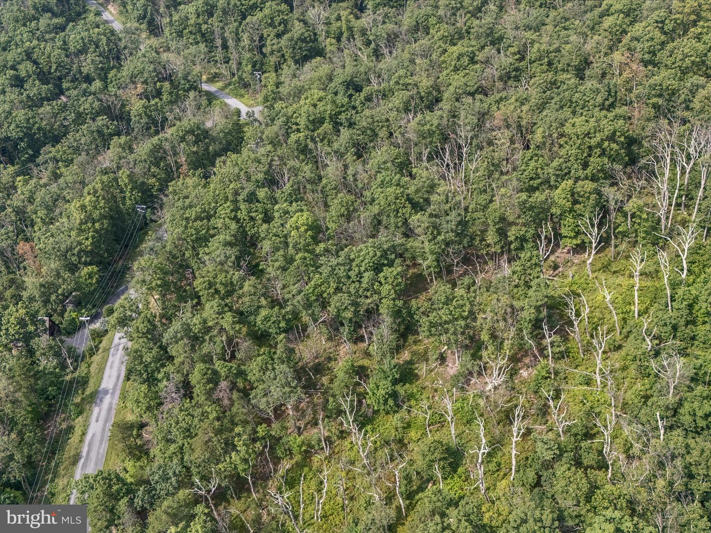LOT 43 TOMAHAWK TRL, WINCHESTER, Virginia 22602, ,Land,For sale,LOT 43 TOMAHAWK TRL,VAFV2035732 MLS # VAFV2035732
