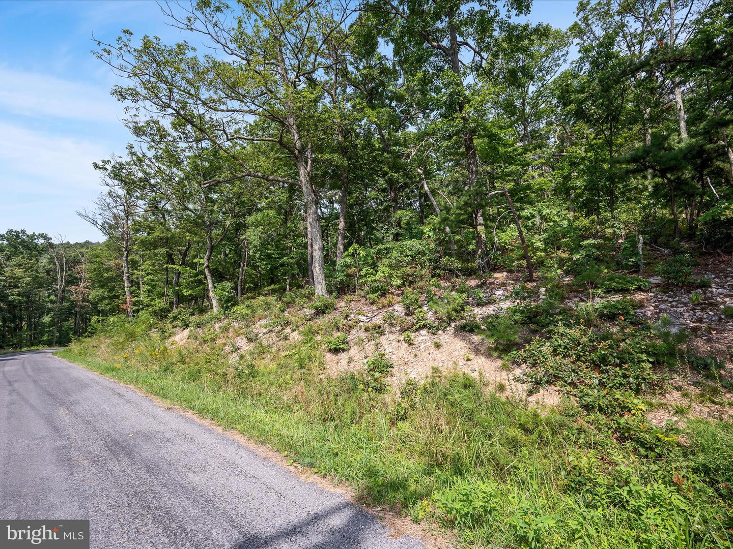 LOT 43 TOMAHAWK TRL, WINCHESTER, Virginia 22602, ,Land,For sale,LOT 43 TOMAHAWK TRL,VAFV2035732 MLS # VAFV2035732