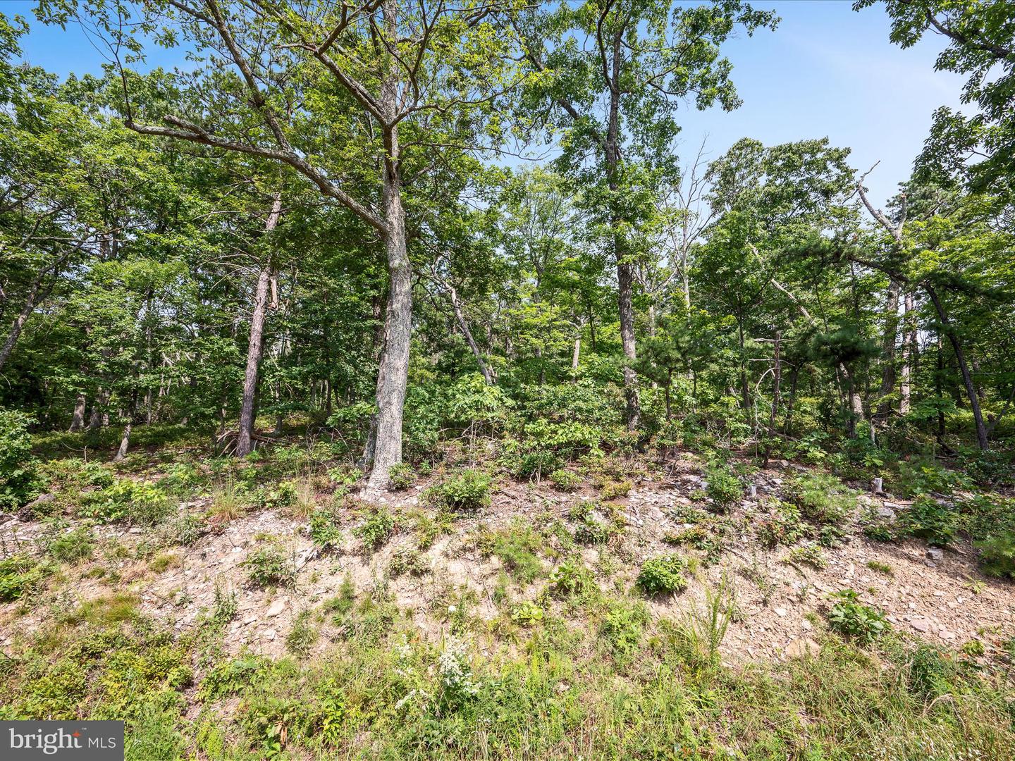 LOT 43 TOMAHAWK TRL, WINCHESTER, Virginia 22602, ,Land,For sale,LOT 43 TOMAHAWK TRL,VAFV2035732 MLS # VAFV2035732