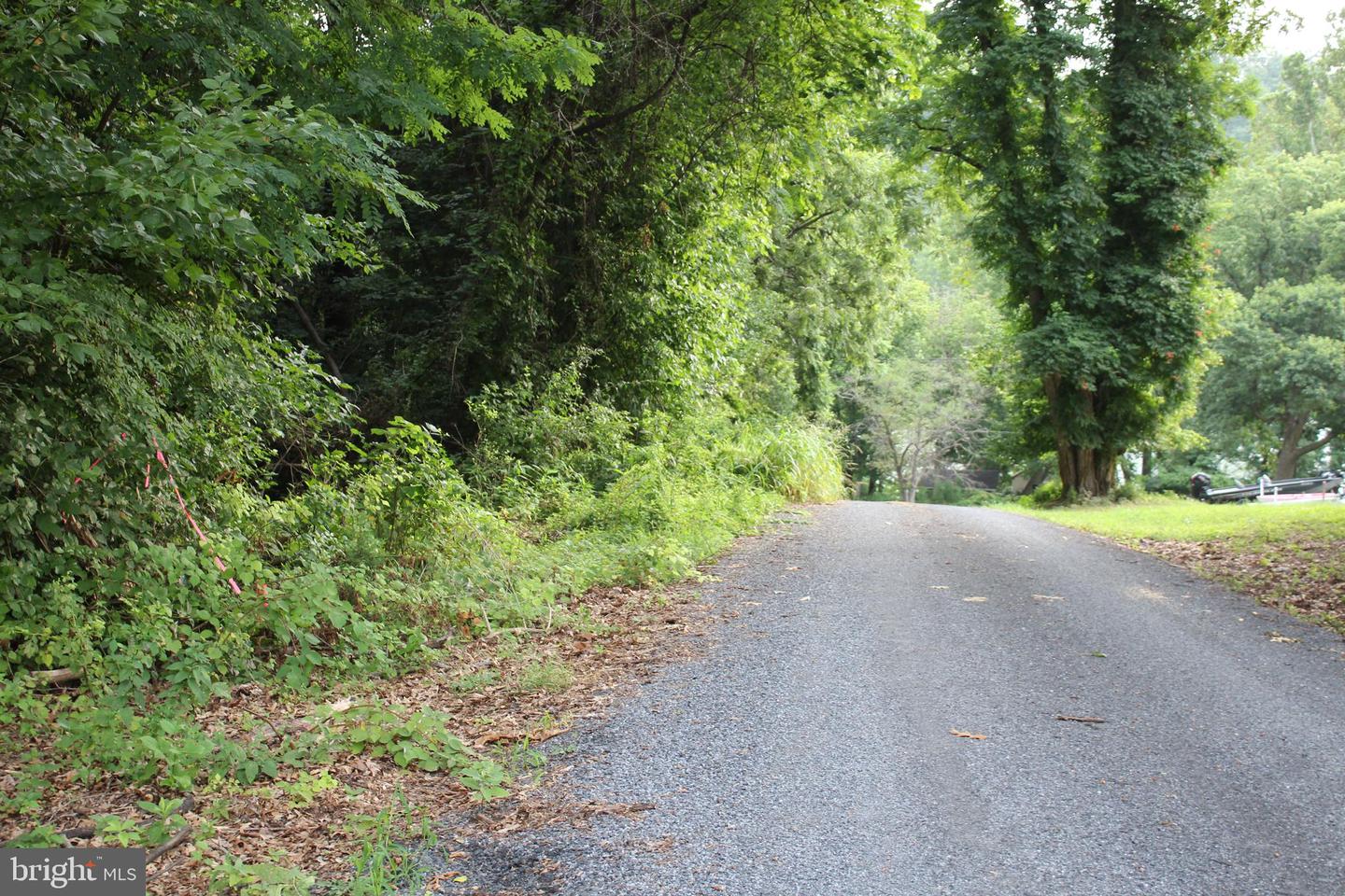 SUGAR MAPLE RD, FRONT ROYAL, Virginia 22630, ,Land,For sale,SUGAR MAPLE RD,VAWR2011878 MLS # VAWR2011878