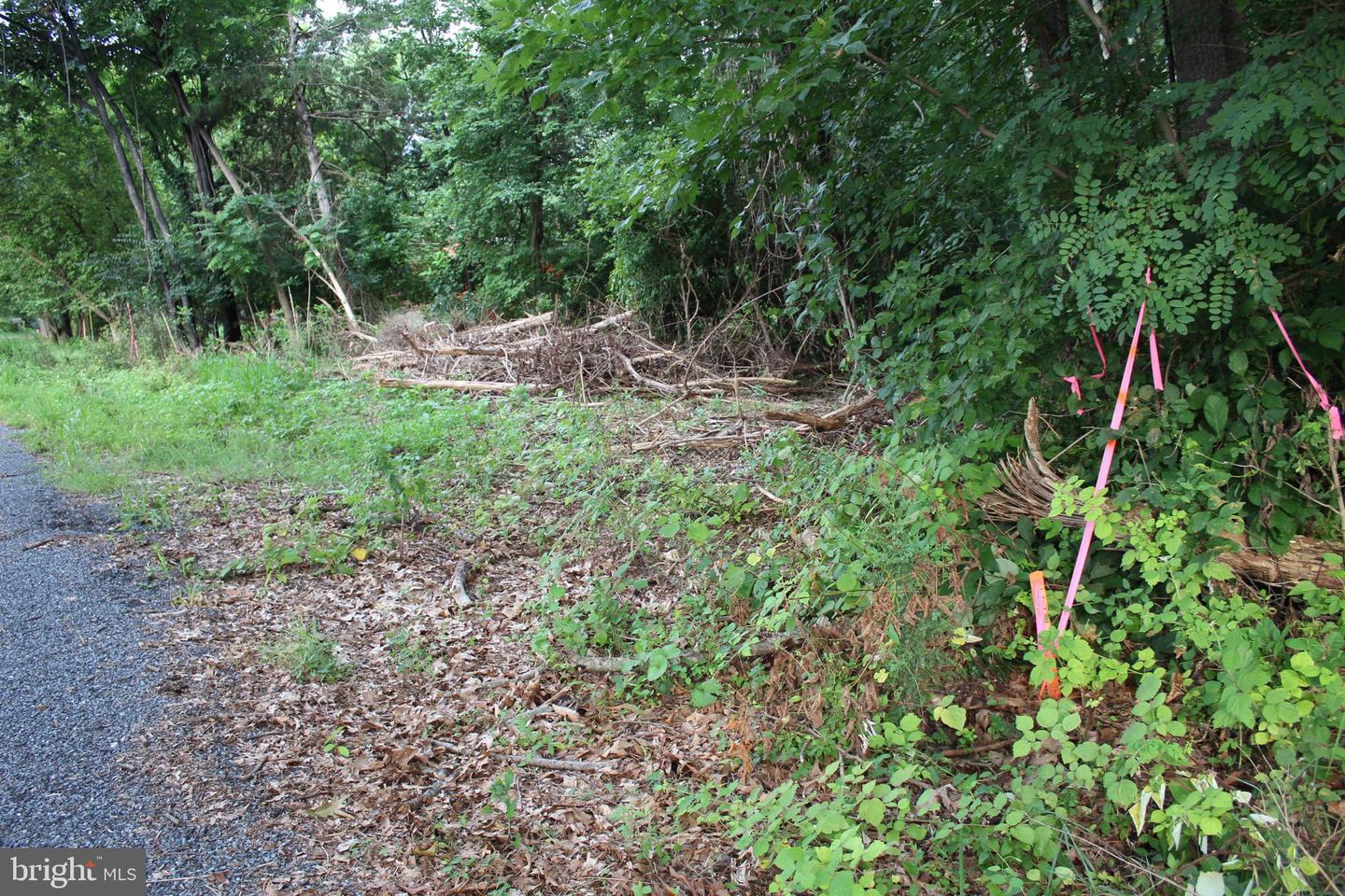 SUGAR MAPLE RD, FRONT ROYAL, Virginia 22630, ,Land,For sale,SUGAR MAPLE RD,VAWR2011878 MLS # VAWR2011878