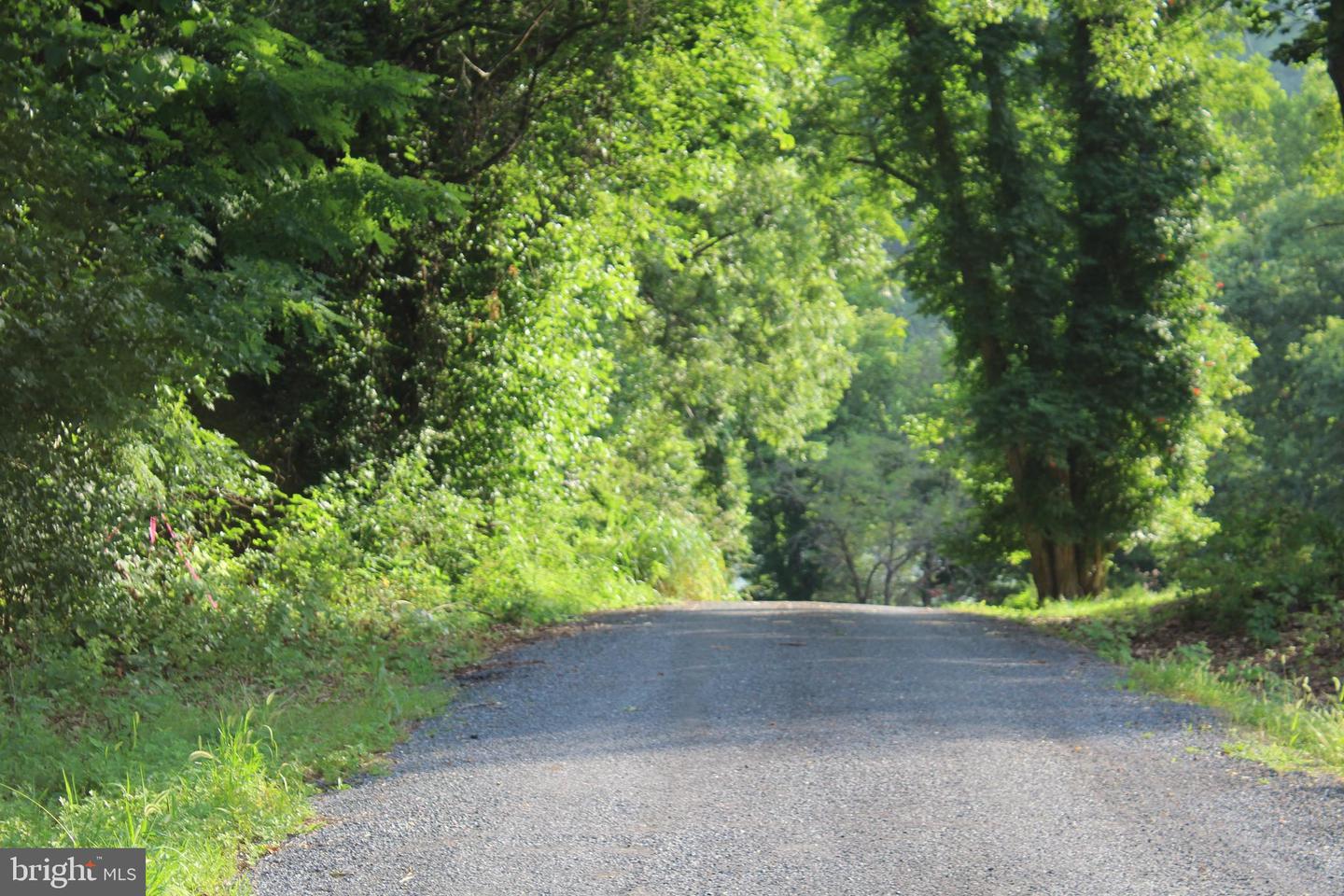 SUGAR MAPLE RD, FRONT ROYAL, Virginia 22630, ,Land,For sale,SUGAR MAPLE RD,VAWR2011878 MLS # VAWR2011878