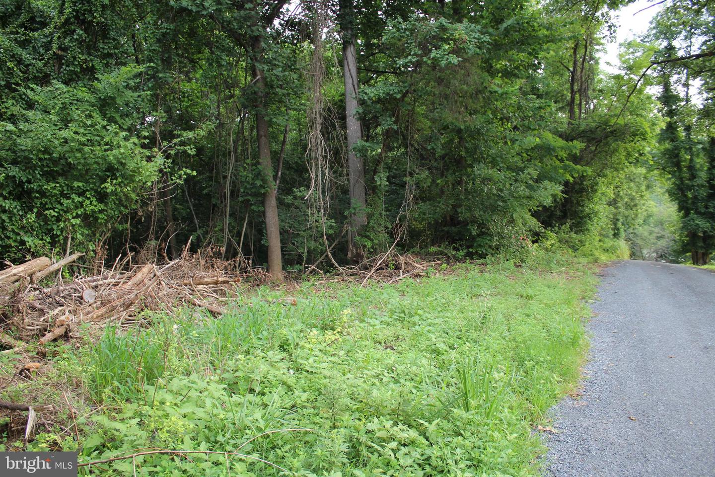 SUGAR MAPLE RD, FRONT ROYAL, Virginia 22630, ,Land,For sale,SUGAR MAPLE RD,VAWR2011878 MLS # VAWR2011878