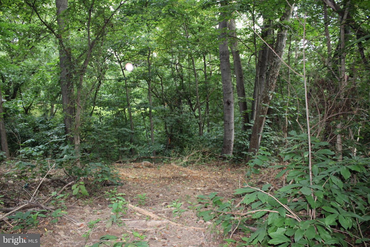 SUGAR MAPLE RD, FRONT ROYAL, Virginia 22630, ,Land,For sale,SUGAR MAPLE RD,VAWR2011878 MLS # VAWR2011878