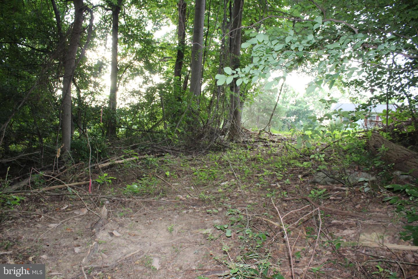 SUGAR MAPLE RD, FRONT ROYAL, Virginia 22630, ,Land,For sale,SUGAR MAPLE RD,VAWR2011878 MLS # VAWR2011878