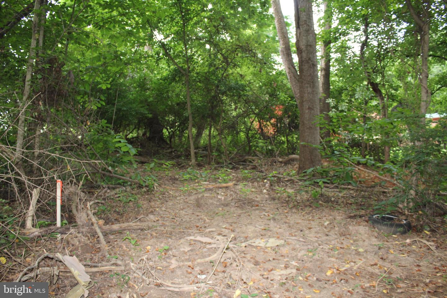 SUGAR MAPLE RD, FRONT ROYAL, Virginia 22630, ,Land,For sale,SUGAR MAPLE RD,VAWR2011878 MLS # VAWR2011878