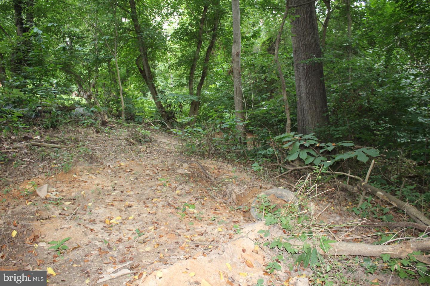 SUGAR MAPLE RD, FRONT ROYAL, Virginia 22630, ,Land,For sale,SUGAR MAPLE RD,VAWR2011878 MLS # VAWR2011878