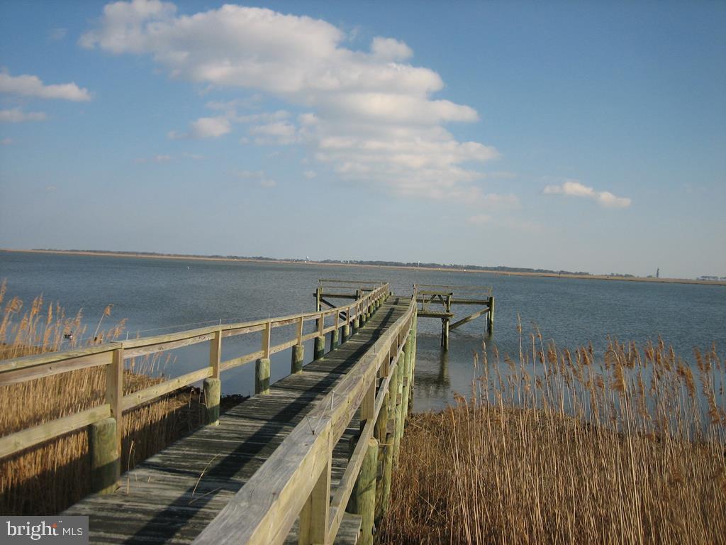 LOT 12 BAY VIEW LN, ATLANTIC, Virginia 23303, ,Land,For sale,LOT 12 BAY VIEW LN,VAAC2002136 MLS # VAAC2002136