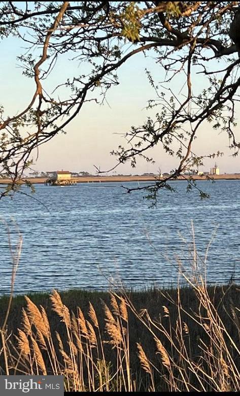 LOT 12 BAY VIEW LN, ATLANTIC, Virginia 23303, ,Land,For sale,LOT 12 BAY VIEW LN,VAAC2002136 MLS # VAAC2002136