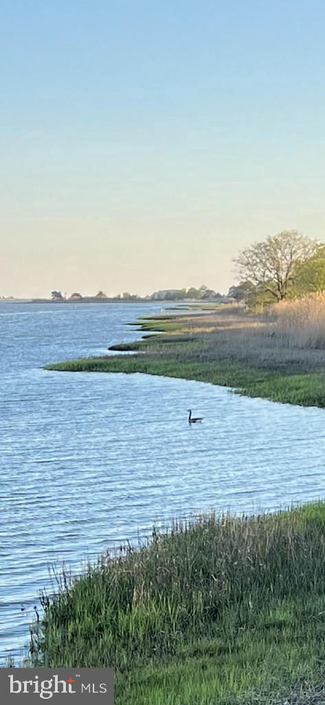 LOT 12 BAY VIEW LN, ATLANTIC, Virginia 23303, ,Land,For sale,LOT 12 BAY VIEW LN,VAAC2002136 MLS # VAAC2002136