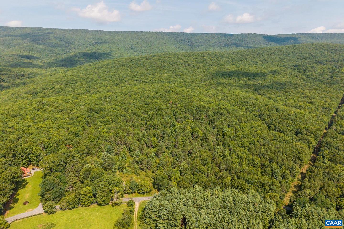 0 MUDDY RUN RD, WILLIAMSVILLE, Virginia 24487, ,Land,For sale,0 MUDDY RUN RD,667422 MLS # 667422