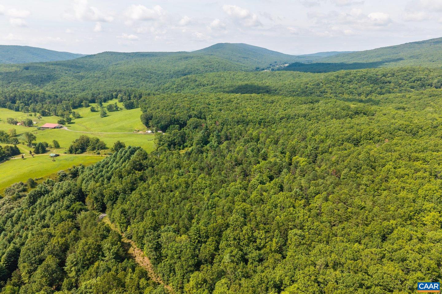 0 MUDDY RUN RD, WILLIAMSVILLE, Virginia 24487, ,Land,For sale,0 MUDDY RUN RD,667422 MLS # 667422
