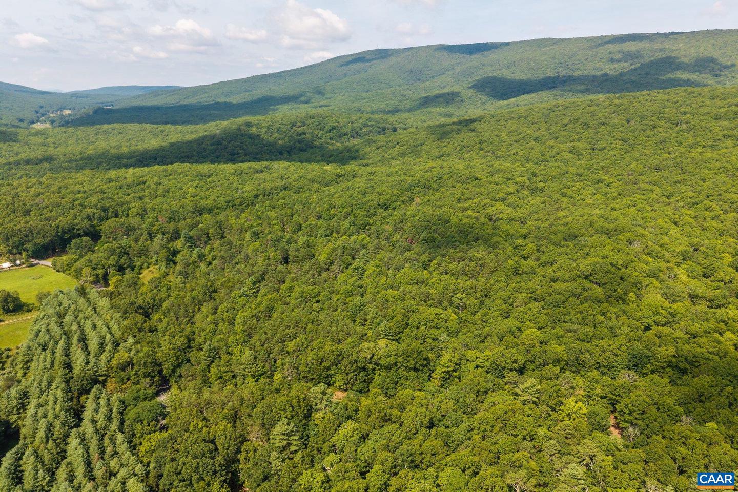 0 MUDDY RUN RD, WILLIAMSVILLE, Virginia 24487, ,Land,For sale,0 MUDDY RUN RD,667422 MLS # 667422