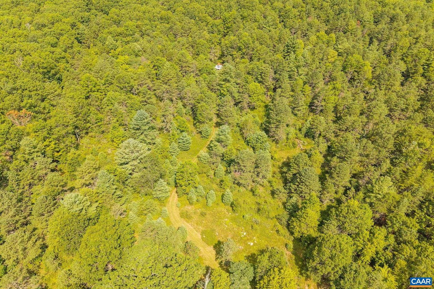 0 MUDDY RUN RD, WILLIAMSVILLE, Virginia 24487, ,Land,For sale,0 MUDDY RUN RD,667422 MLS # 667422