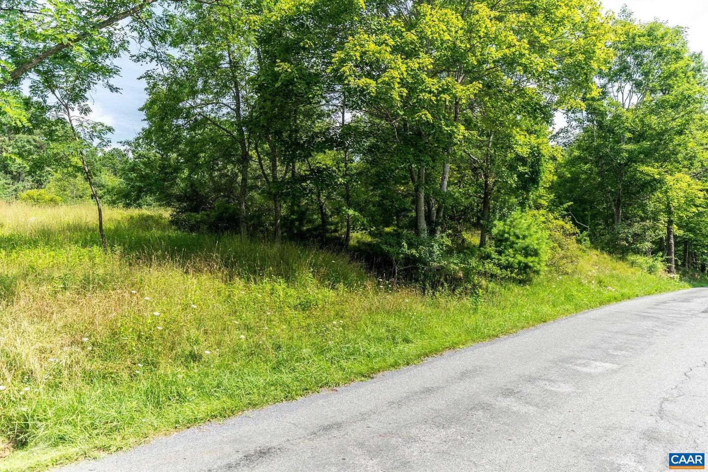 0 MUDDY RUN RD, WILLIAMSVILLE, Virginia 24487, ,Land,For sale,0 MUDDY RUN RD,667422 MLS # 667422
