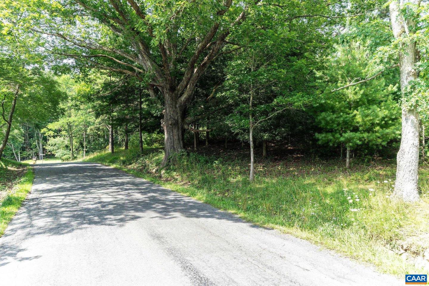 0 MUDDY RUN RD, WILLIAMSVILLE, Virginia 24487, ,Land,For sale,0 MUDDY RUN RD,667422 MLS # 667422