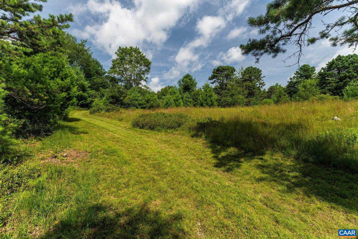 0 MUDDY RUN RD, WILLIAMSVILLE, Virginia 24487, ,Land,For sale,0 MUDDY RUN RD,667422 MLS # 667422