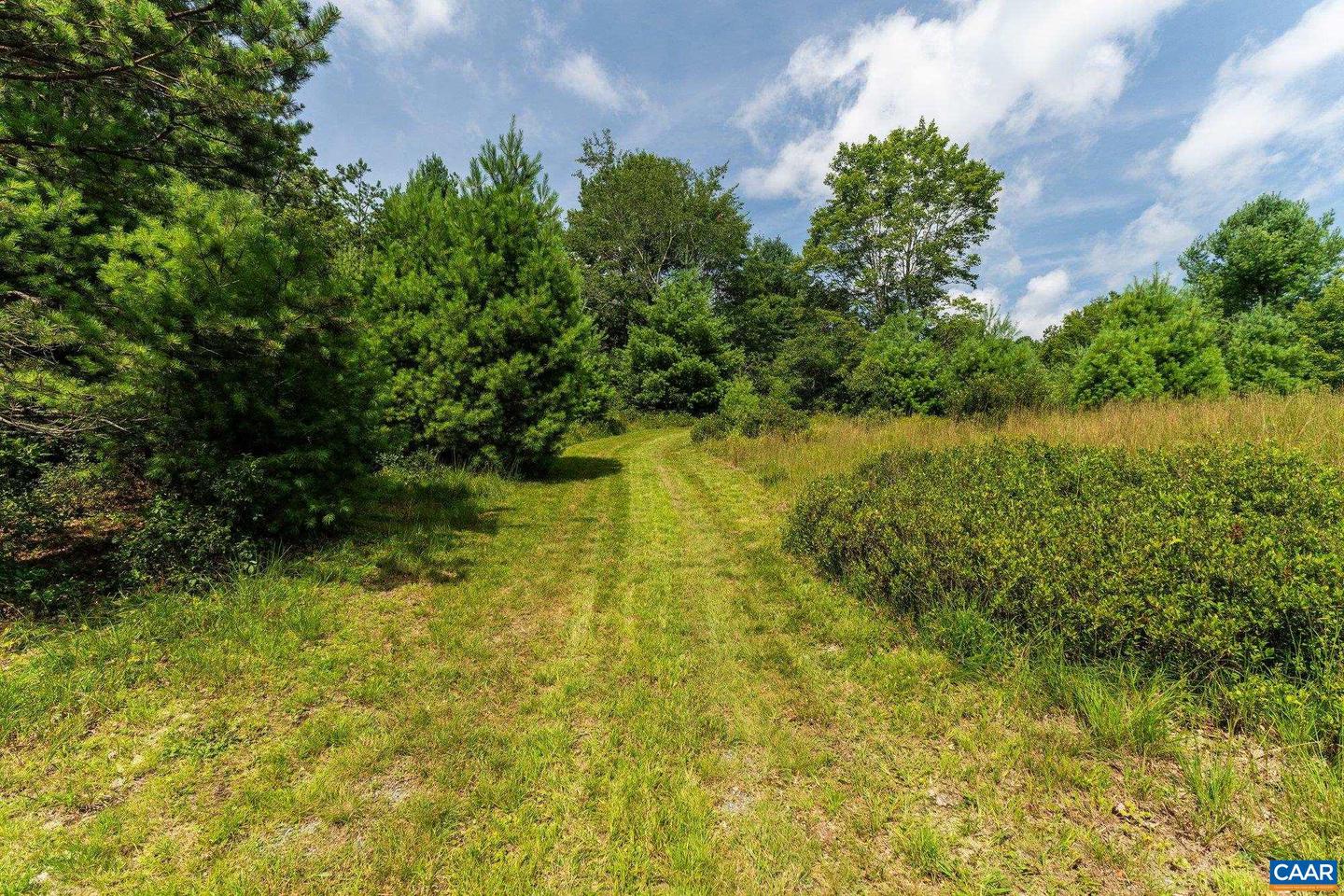 0 MUDDY RUN RD, WILLIAMSVILLE, Virginia 24487, ,Land,For sale,0 MUDDY RUN RD,667422 MLS # 667422