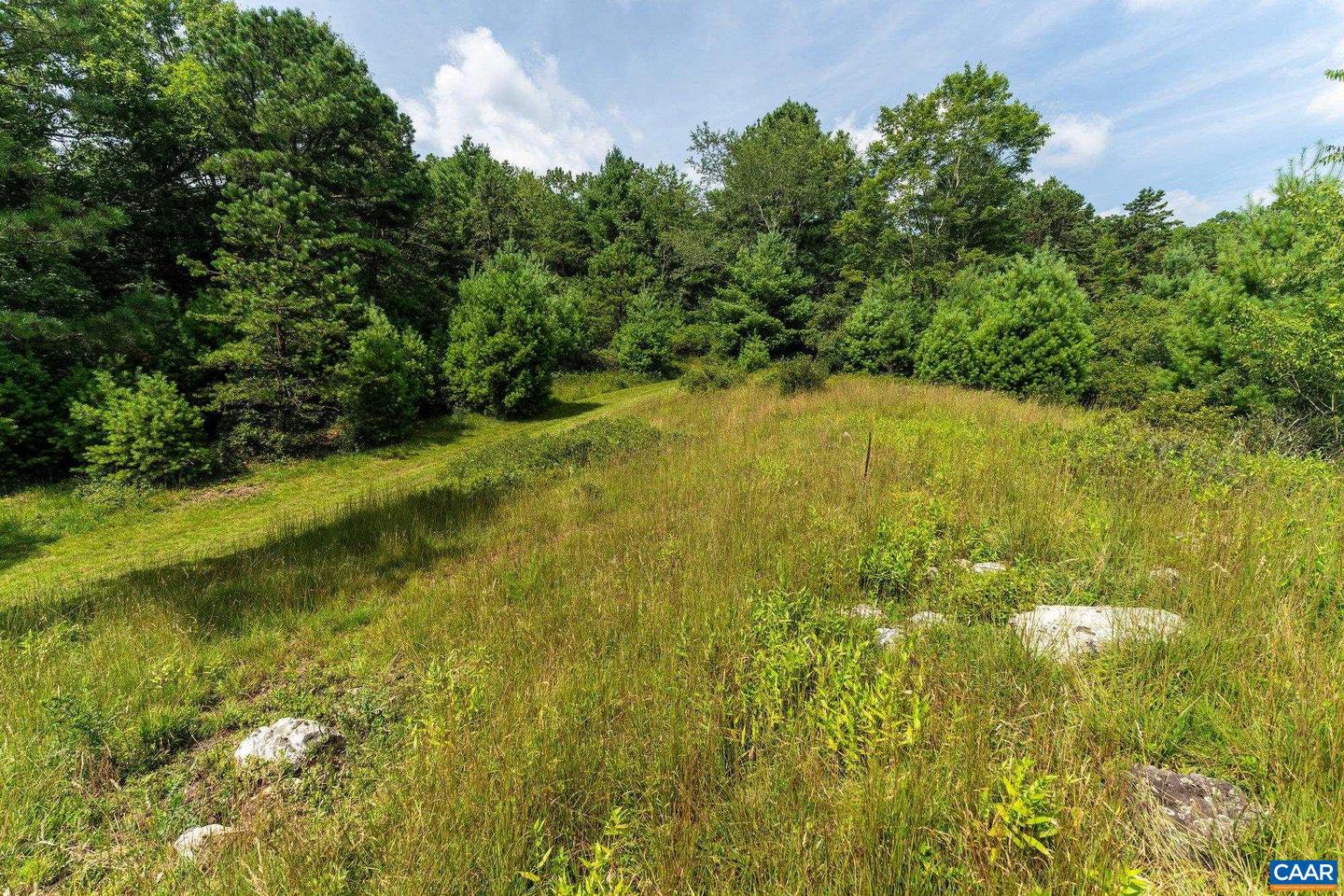 0 MUDDY RUN RD, WILLIAMSVILLE, Virginia 24487, ,Land,For sale,0 MUDDY RUN RD,667422 MLS # 667422