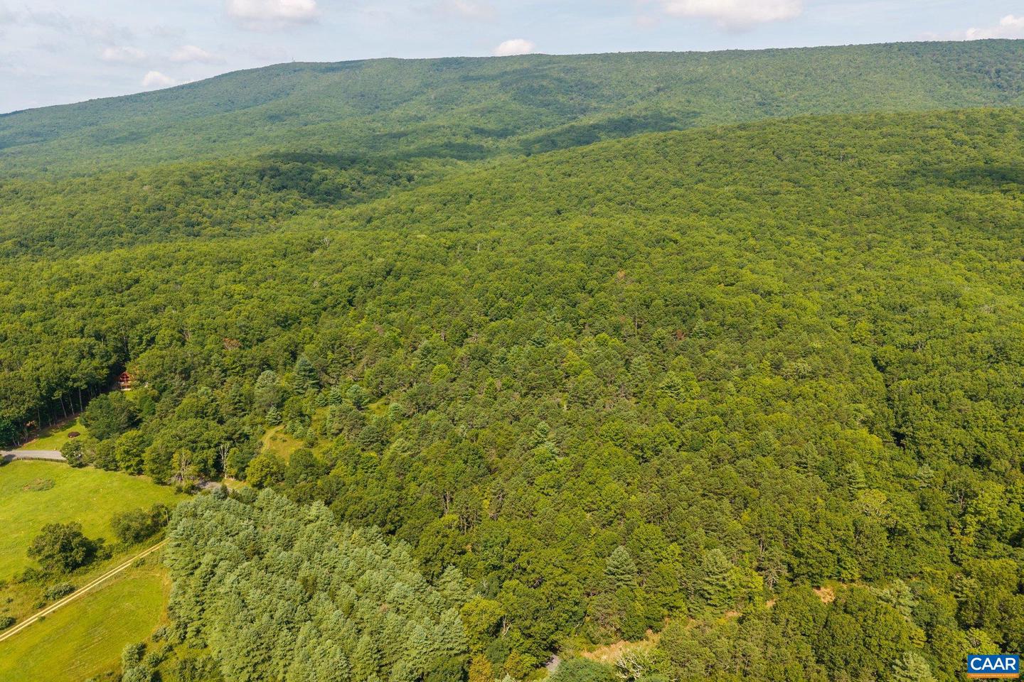 0 MUDDY RUN RD, WILLIAMSVILLE, Virginia 24487, ,Land,For sale,0 MUDDY RUN RD,667422 MLS # 667422