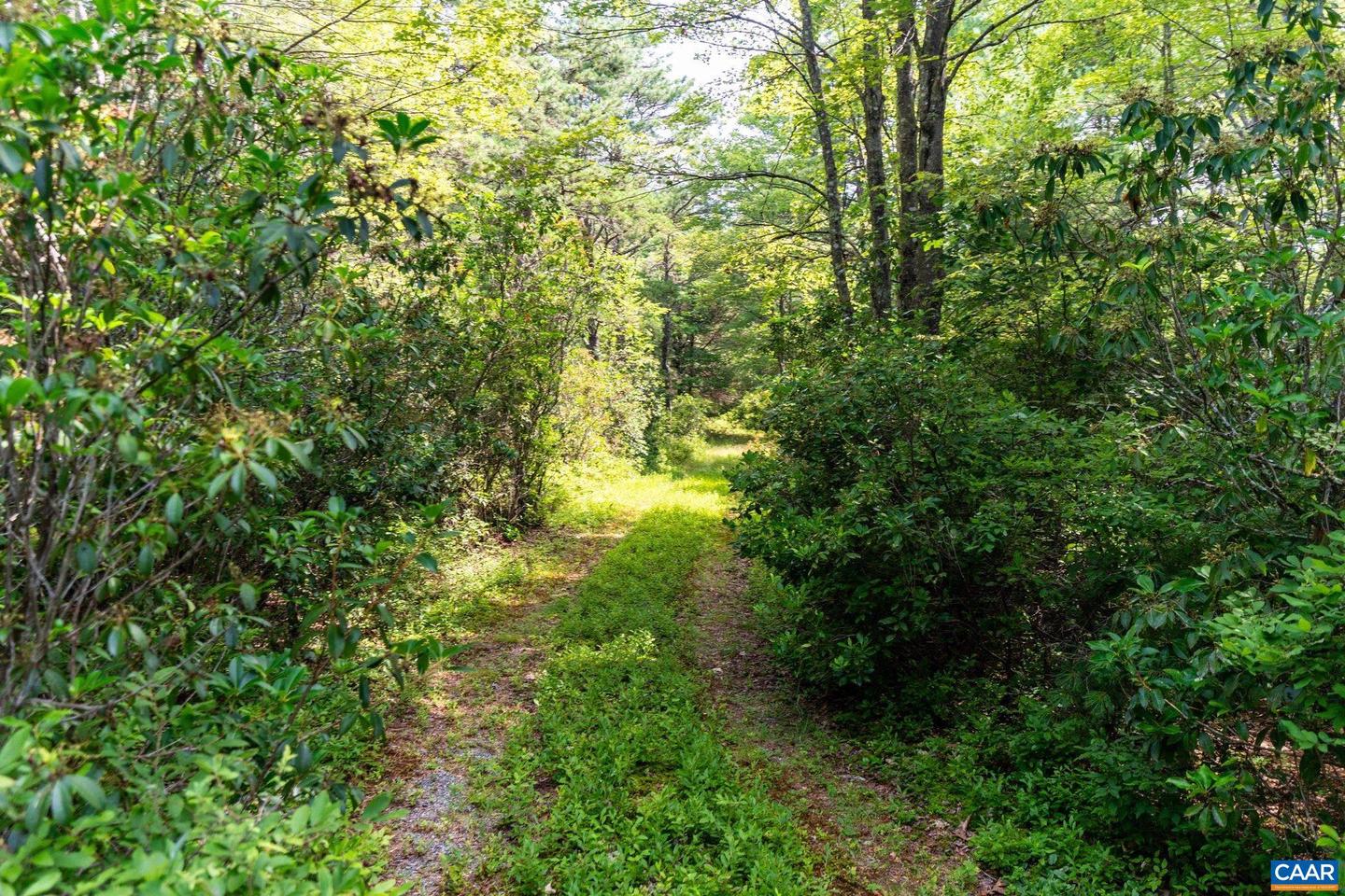 0 MUDDY RUN RD, WILLIAMSVILLE, Virginia 24487, ,Land,For sale,0 MUDDY RUN RD,667422 MLS # 667422