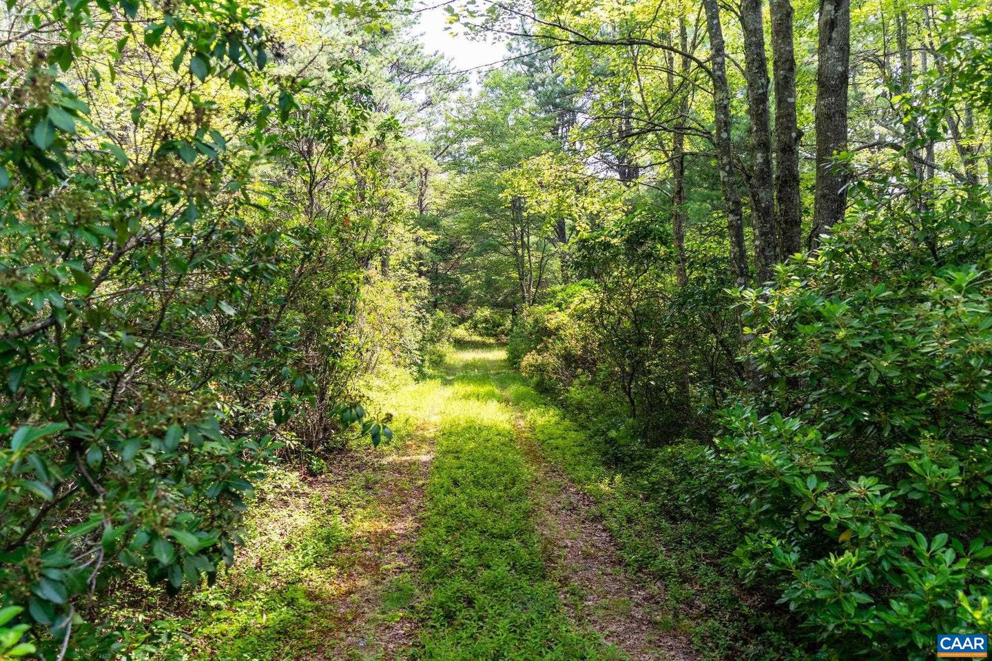 0 MUDDY RUN RD, WILLIAMSVILLE, Virginia 24487, ,Land,For sale,0 MUDDY RUN RD,667422 MLS # 667422
