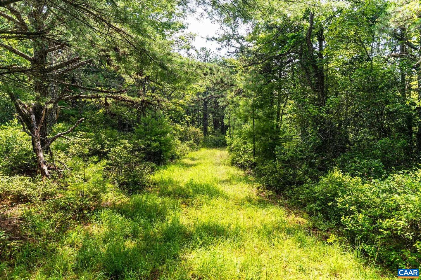 0 MUDDY RUN RD, WILLIAMSVILLE, Virginia 24487, ,Land,For sale,0 MUDDY RUN RD,667422 MLS # 667422