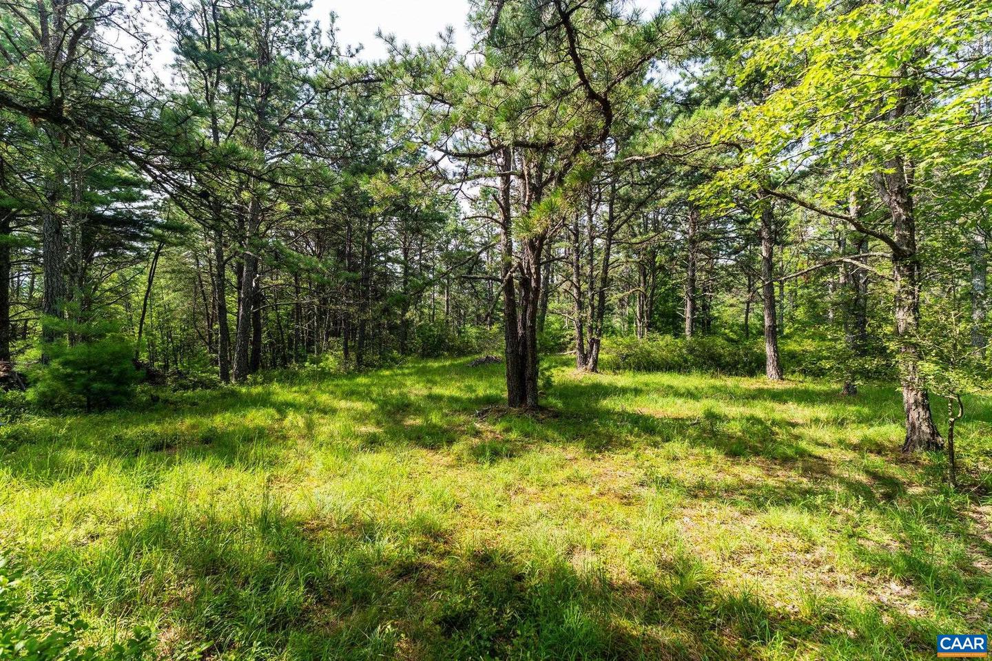 0 MUDDY RUN RD, WILLIAMSVILLE, Virginia 24487, ,Land,For sale,0 MUDDY RUN RD,667422 MLS # 667422