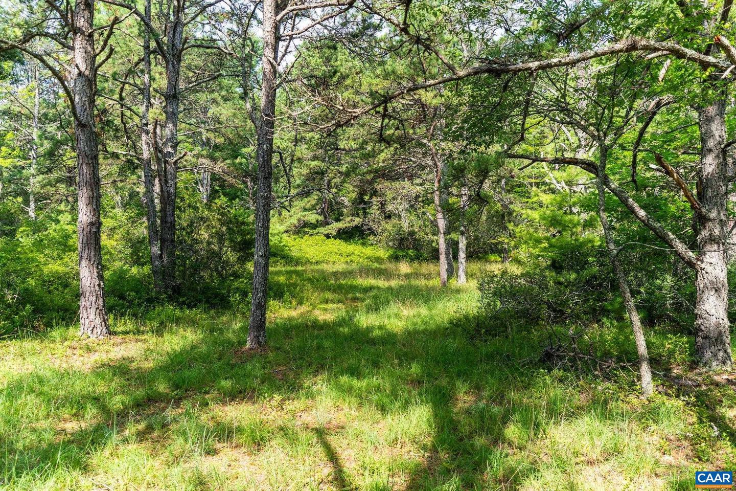0 MUDDY RUN RD, WILLIAMSVILLE, Virginia 24487, ,Land,For sale,0 MUDDY RUN RD,667422 MLS # 667422