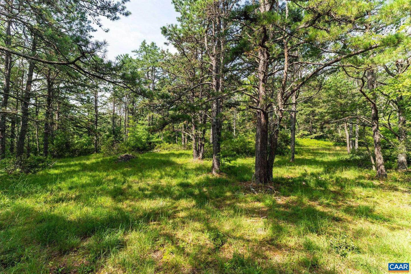 0 MUDDY RUN RD, WILLIAMSVILLE, Virginia 24487, ,Land,For sale,0 MUDDY RUN RD,667422 MLS # 667422