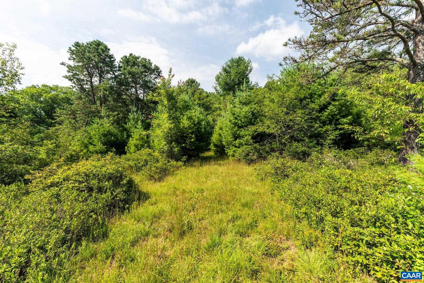 0 MUDDY RUN RD, WILLIAMSVILLE, Virginia 24487, ,Land,For sale,0 MUDDY RUN RD,667422 MLS # 667422