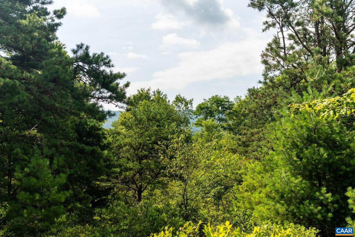 0 MUDDY RUN RD, WILLIAMSVILLE, Virginia 24487, ,Land,For sale,0 MUDDY RUN RD,667422 MLS # 667422