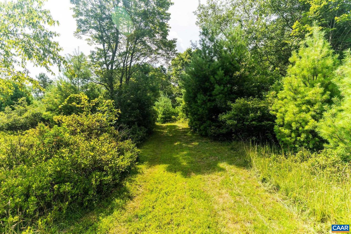 0 MUDDY RUN RD, WILLIAMSVILLE, Virginia 24487, ,Land,For sale,0 MUDDY RUN RD,667422 MLS # 667422