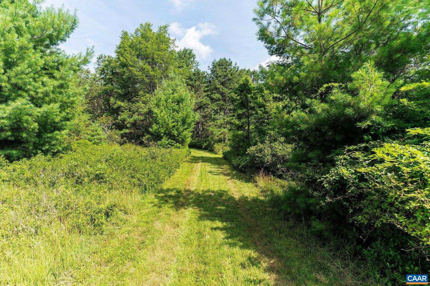0 MUDDY RUN RD, WILLIAMSVILLE, Virginia 24487, ,Land,For sale,0 MUDDY RUN RD,667422 MLS # 667422