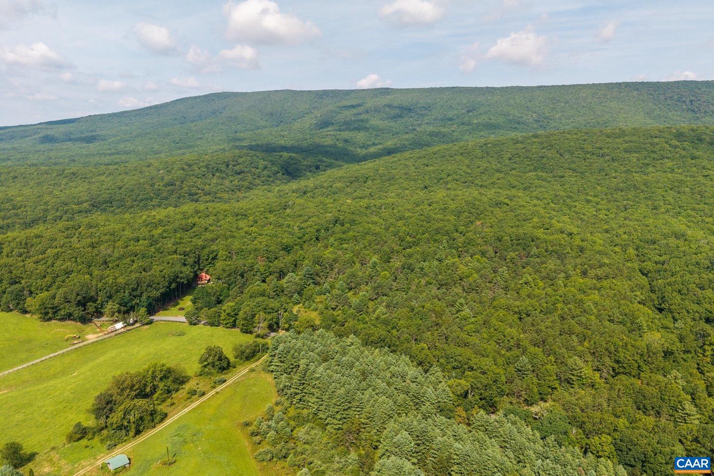 0 MUDDY RUN RD, WILLIAMSVILLE, Virginia 24487, ,Land,For sale,0 MUDDY RUN RD,667422 MLS # 667422