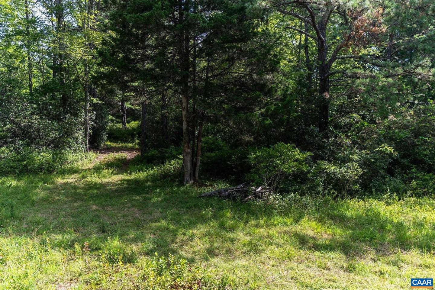 0 MUDDY RUN RD, WILLIAMSVILLE, Virginia 24487, ,Land,For sale,0 MUDDY RUN RD,667422 MLS # 667422