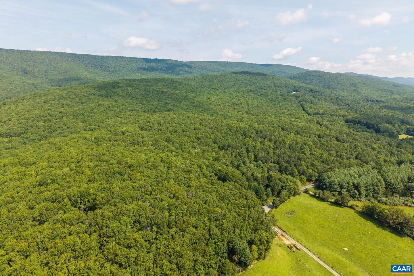 0 MUDDY RUN RD, WILLIAMSVILLE, Virginia 24487, ,Land,For sale,0 MUDDY RUN RD,667422 MLS # 667422