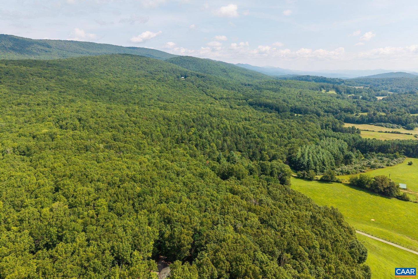 0 MUDDY RUN RD, WILLIAMSVILLE, Virginia 24487, ,Land,For sale,0 MUDDY RUN RD,667422 MLS # 667422