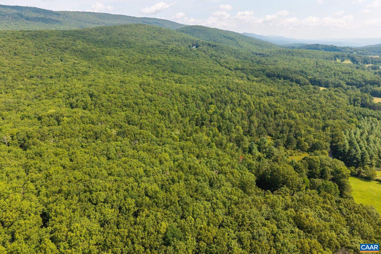 0 MUDDY RUN RD, WILLIAMSVILLE, Virginia 24487, ,Land,For sale,0 MUDDY RUN RD,667422 MLS # 667422
