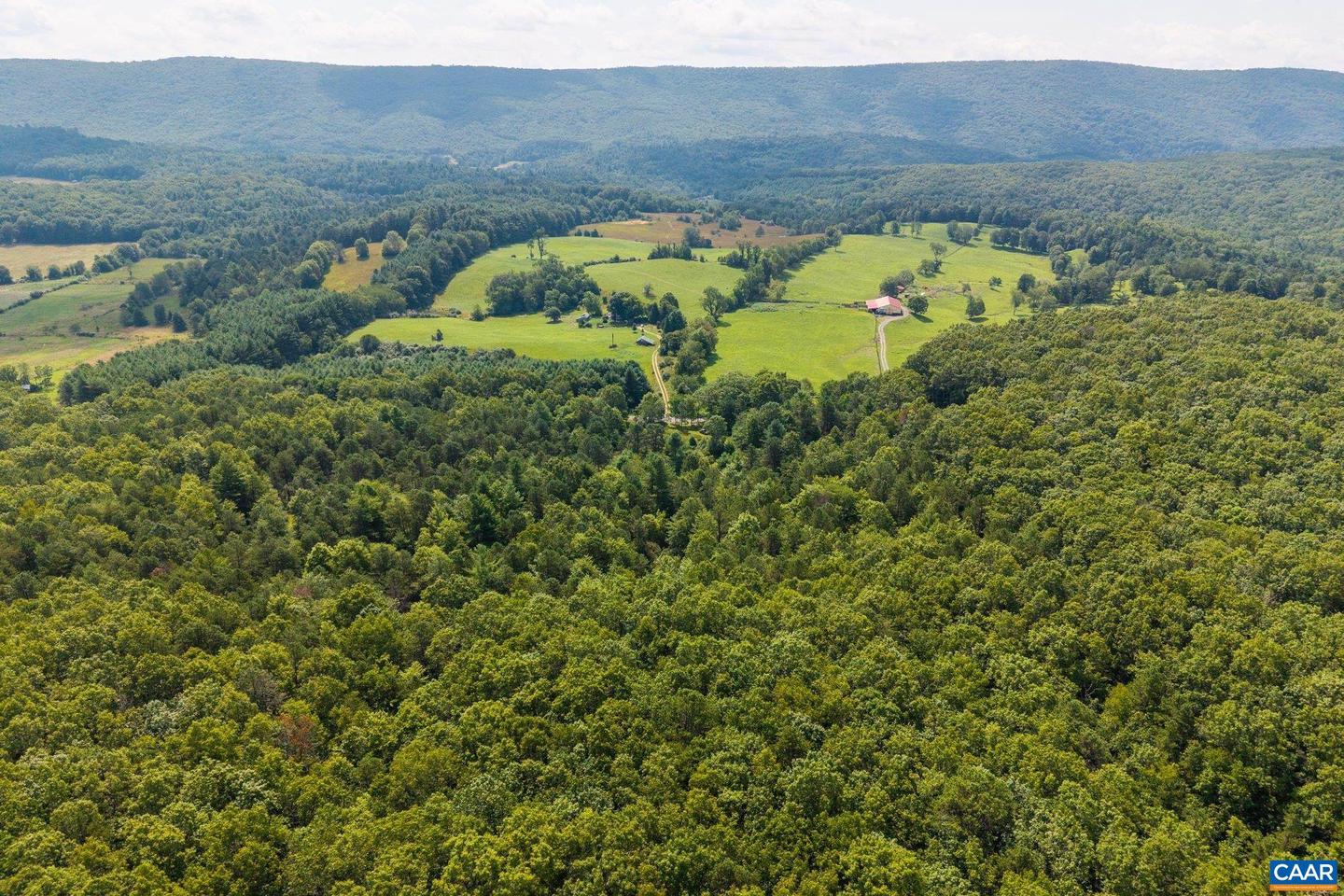 0 MUDDY RUN RD, WILLIAMSVILLE, Virginia 24487, ,Land,For sale,0 MUDDY RUN RD,667422 MLS # 667422