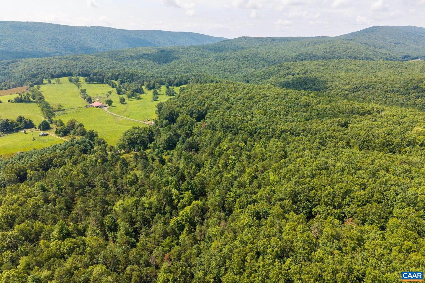 0 MUDDY RUN RD, WILLIAMSVILLE, Virginia 24487, ,Land,For sale,0 MUDDY RUN RD,667422 MLS # 667422