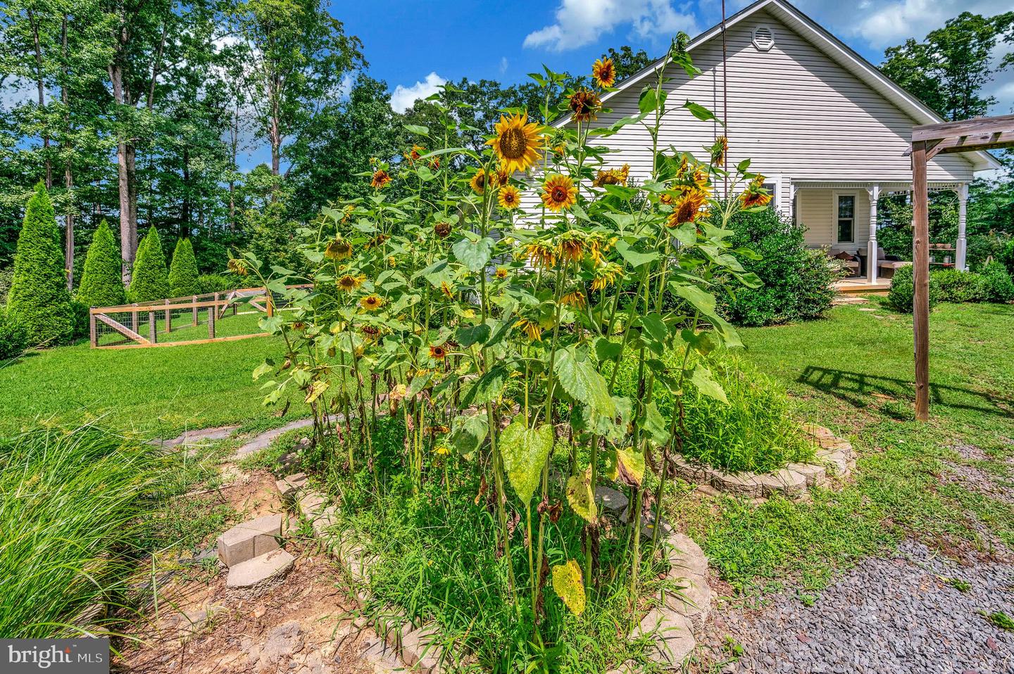 29288 OLD OFFICE RD, RHOADESVILLE, Virginia 22542, 4 Bedrooms Bedrooms, 6 Rooms Rooms,3 BathroomsBathrooms,Residential,For sale,29288 OLD OFFICE RD,VAOR2010354 MLS # VAOR2010354