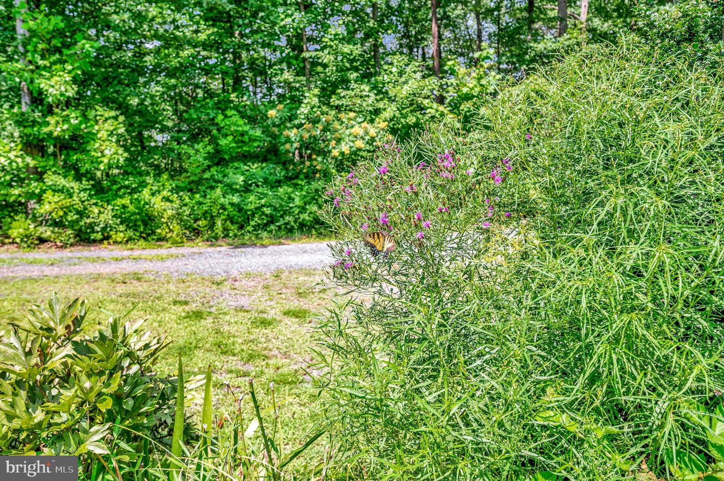 29288 OLD OFFICE RD, RHOADESVILLE, Virginia 22542, 4 Bedrooms Bedrooms, 6 Rooms Rooms,3 BathroomsBathrooms,Residential,For sale,29288 OLD OFFICE RD,VAOR2010354 MLS # VAOR2010354